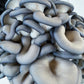 Blue Oyster Mushrooms - 0.5 lbs