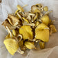Dehydrated Golden Oyster Mushrooms - 1 oz