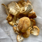 Dehydrated Lion's Mane Mushrooms - 1 oz