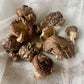 Dehydrated Shiitake Mushrooms - 1 oz