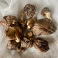 Dehydrated Shiitake Mushrooms - 1 oz