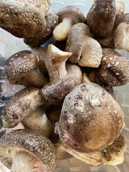 Shiitake Mushrooms - 0.4 lbs